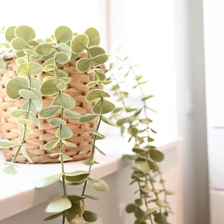 20 Ostfriesland 아파트 *